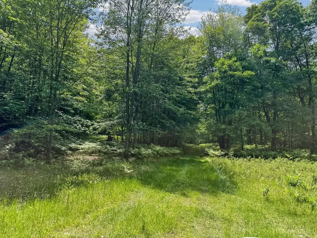 Parcel C Seeley Road Lake Township MI 49651