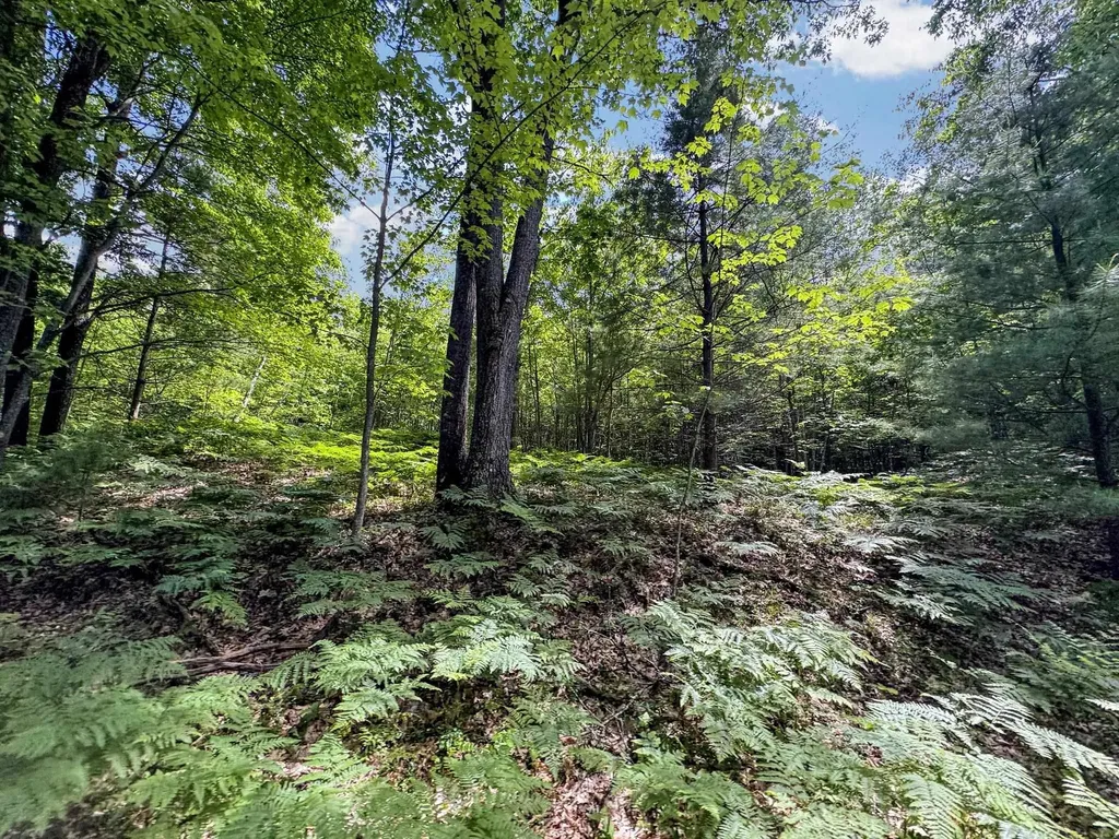 Parcel C Seeley Road Lake Township MI 49651