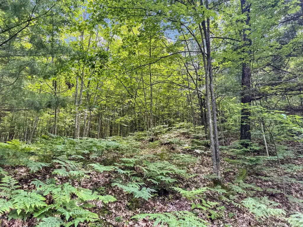 Parcel C Seeley Road Lake Township MI 49651