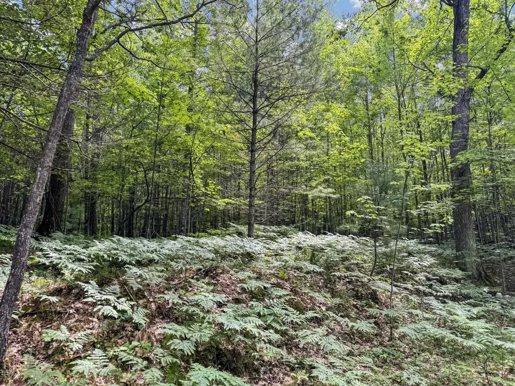 Parcel C Seeley Road Lake Township MI 49651