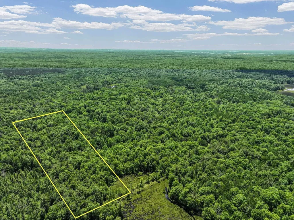 Parcel C Seeley Road Lake Township MI 49651