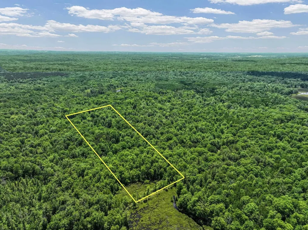 Parcel C Seeley Road Lake Township MI 49651
