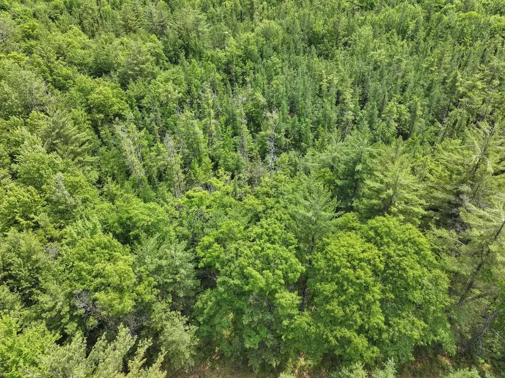 Parcel C Seeley Road Lake Township MI 49651