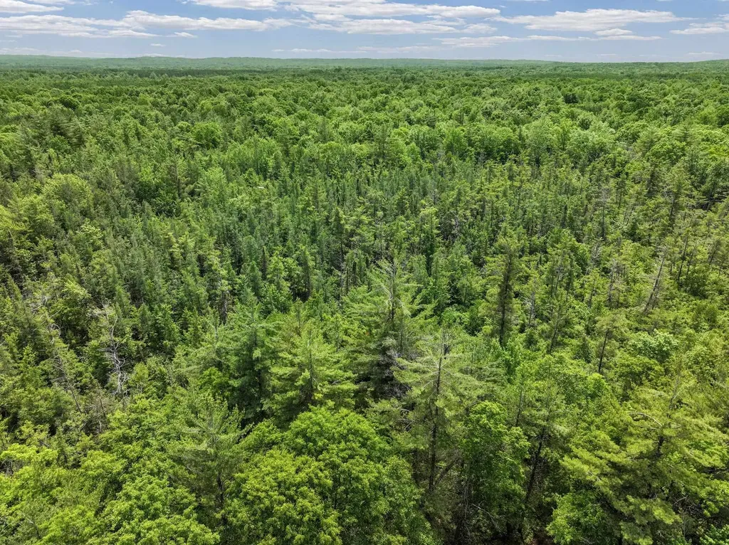 Parcel C Seeley Road Lake Township MI 49651
