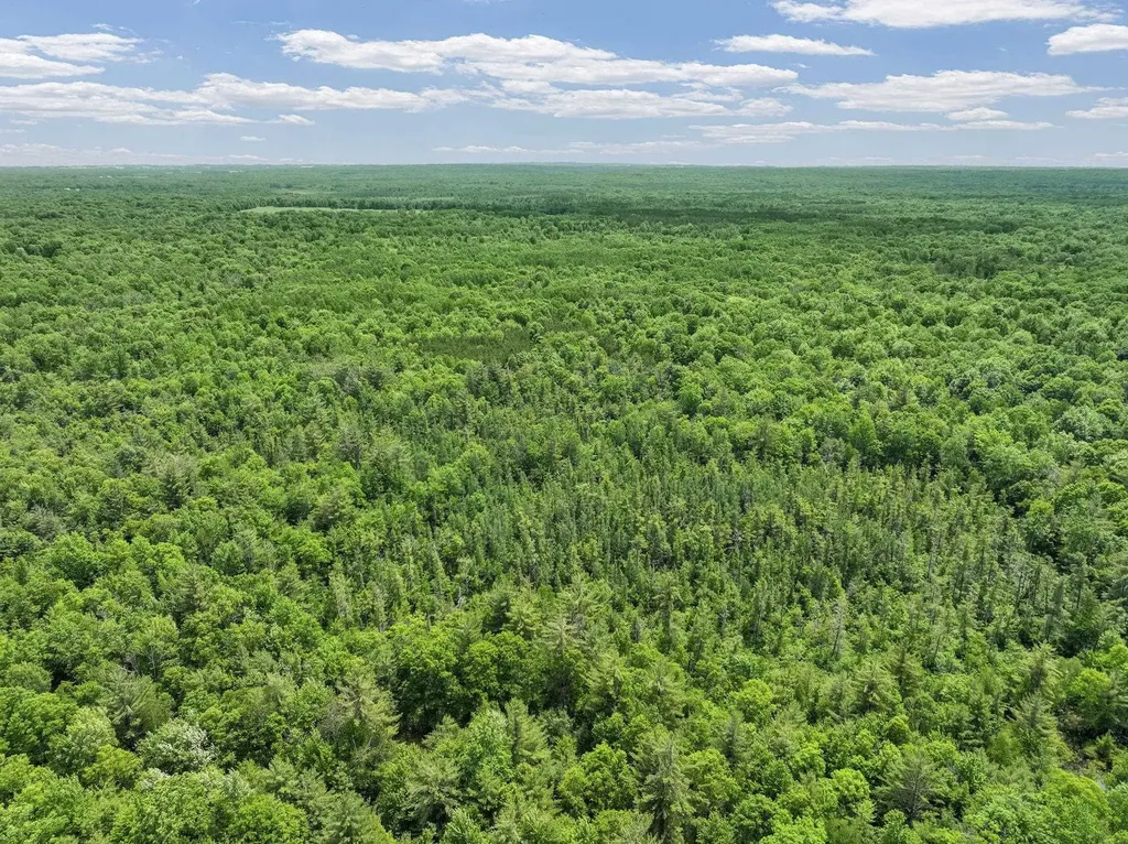 Parcel C Seeley Road Lake Township MI 49651