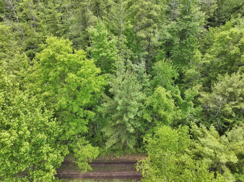 Parcel C Seeley Road Lake Township MI 49651