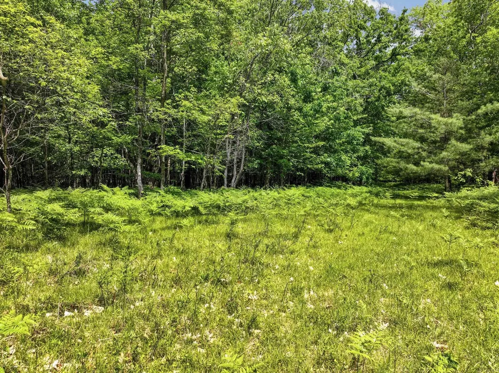 Parcel C Seeley Road Lake Township MI 49651