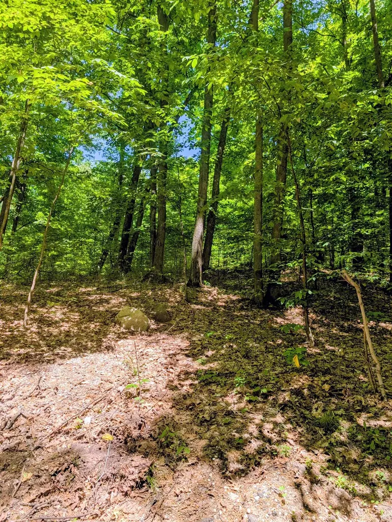 17 Wind Ridge Drive Custer Township MI 49615
