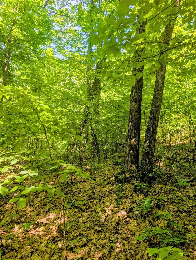 17 Wind Ridge Drive Custer Township MI 49615