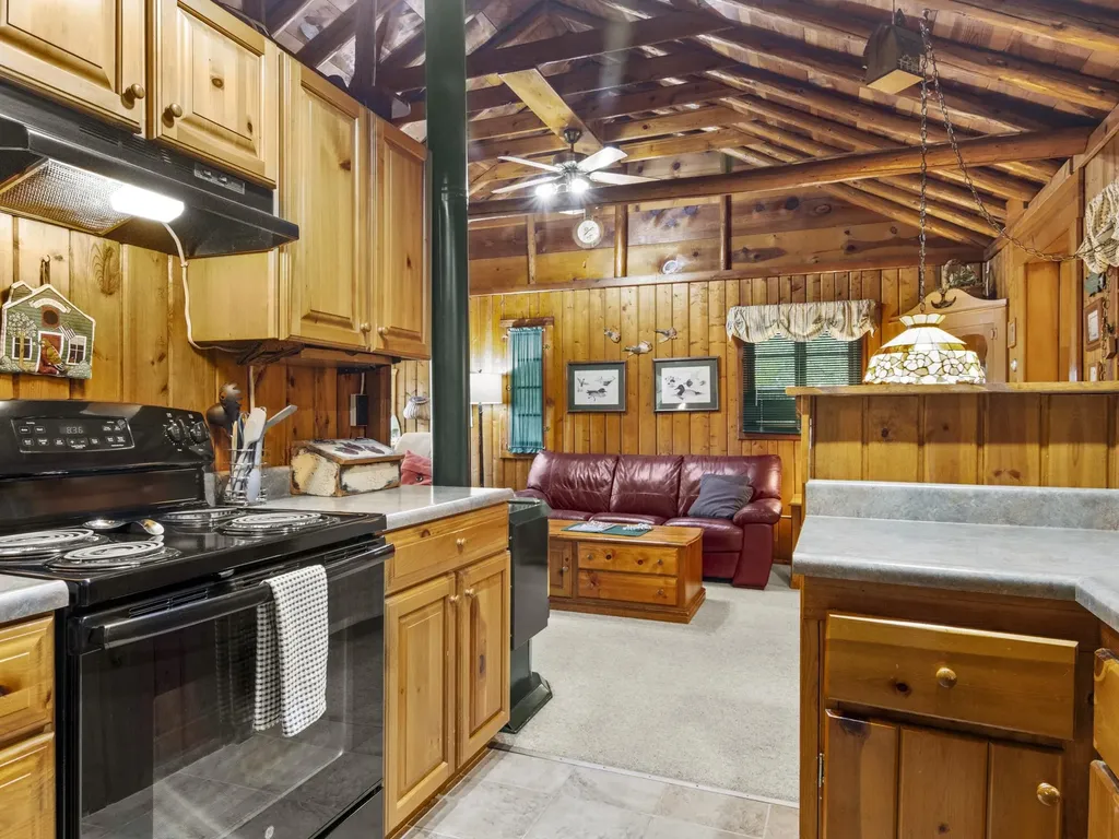 8604 Deadstream Road Lake Township MI 49640
