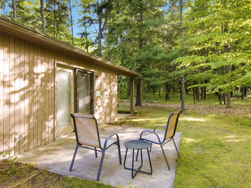 8646 Deadstream Road Lake Township MI 49640