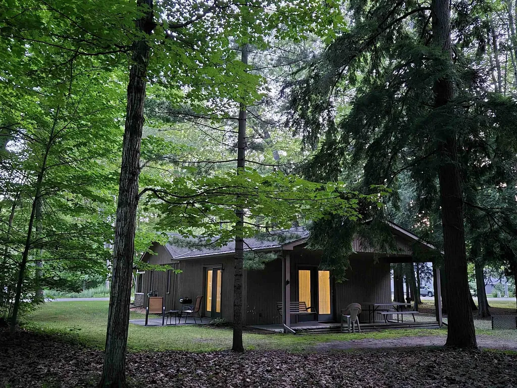 8646 Deadstream Road Lake Township MI 49640