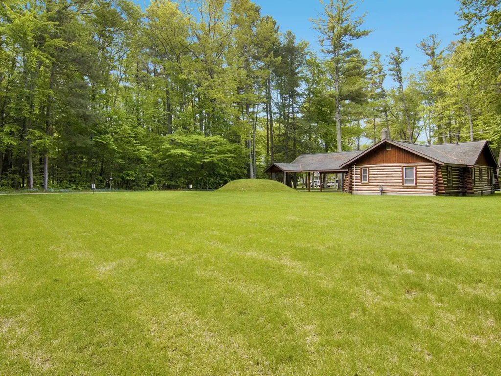8646 Deadstream Road Lake Township MI 49640