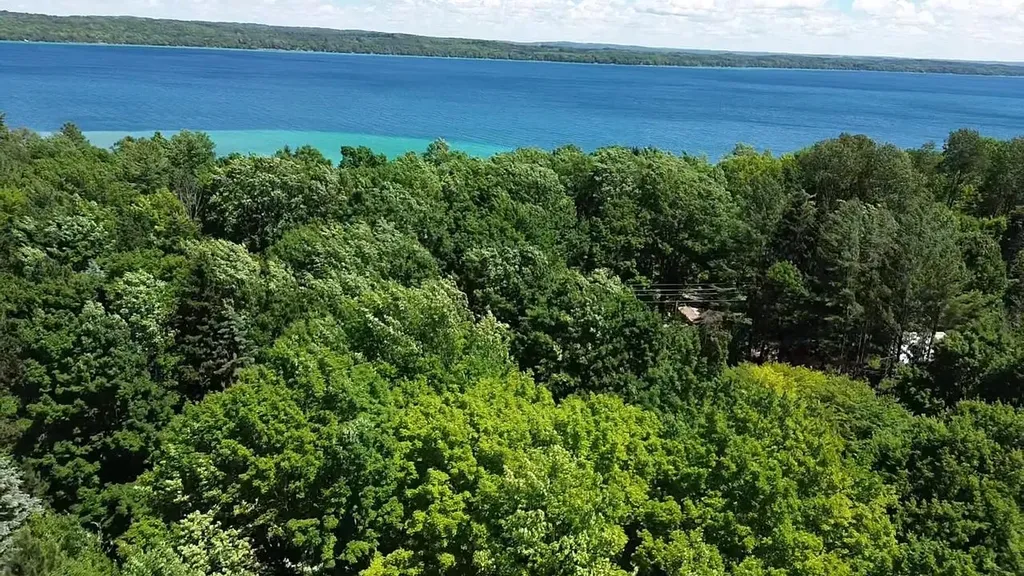 2881 N West Torch Lake Drive Torch Lake Township MI 49648