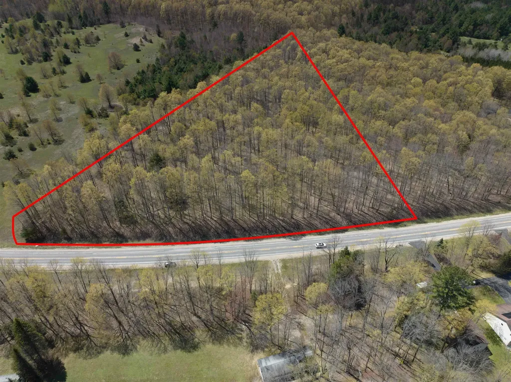 Parcel 3&4 S M-66 Chestonia Township MI 49659