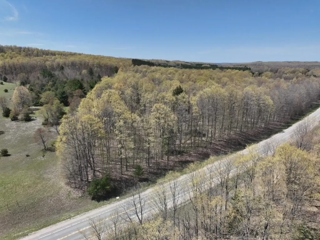 Parcel 3&4 S M-66 Chestonia Township MI 49659