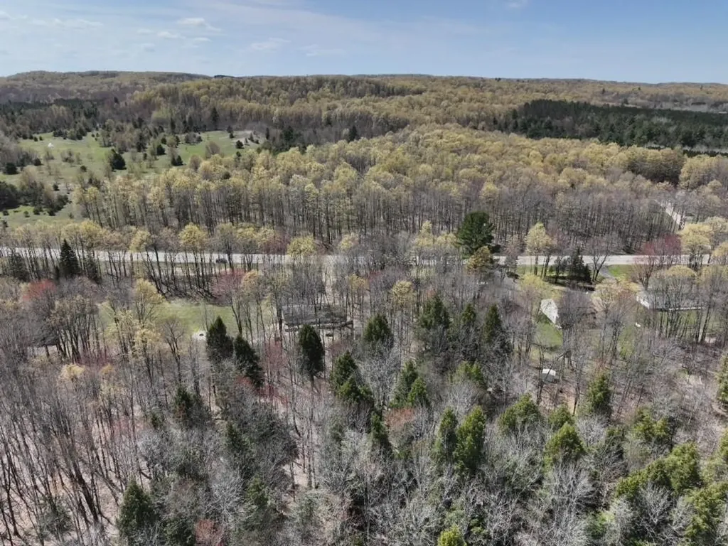 Parcel 3&4 S M-66 Chestonia Township MI 49659