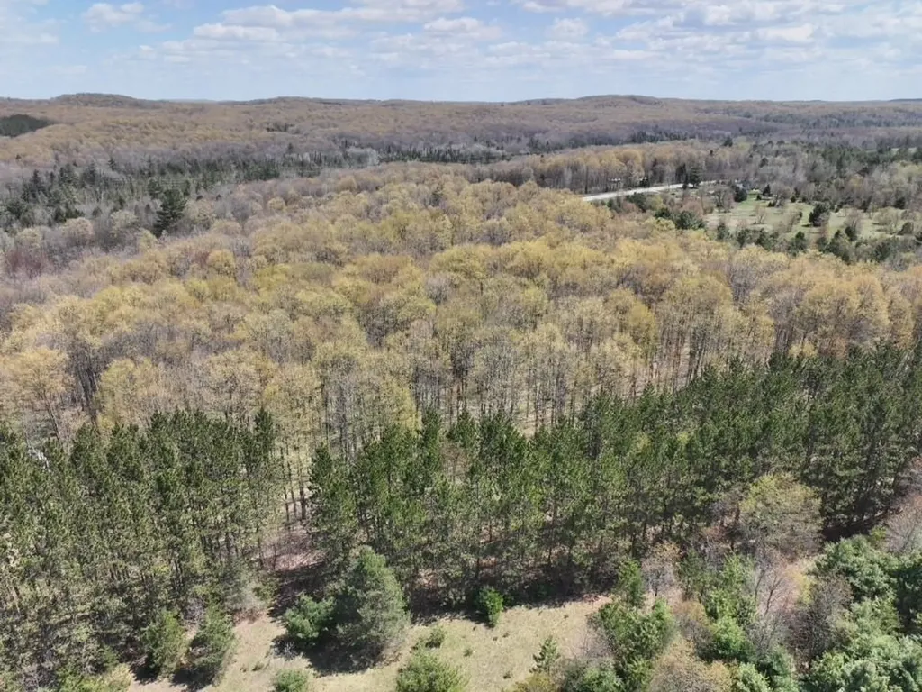 Parcel 3&4 S M-66 Chestonia Township MI 49659