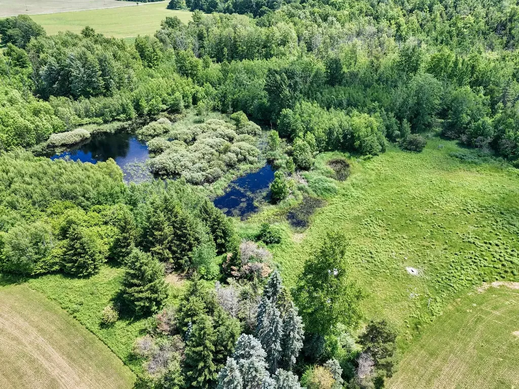 4690 E Houghton Lake Road Aetna Township MI 49651