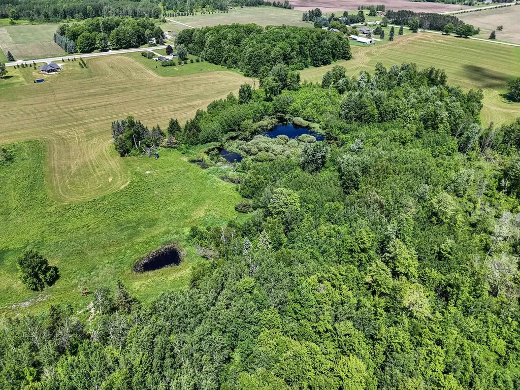 4690 E Houghton Lake Road Aetna Township MI 49651