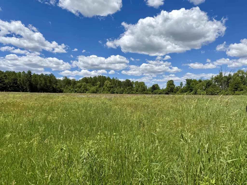 V/l 5th Avenue Middle Branch Township MI 49665