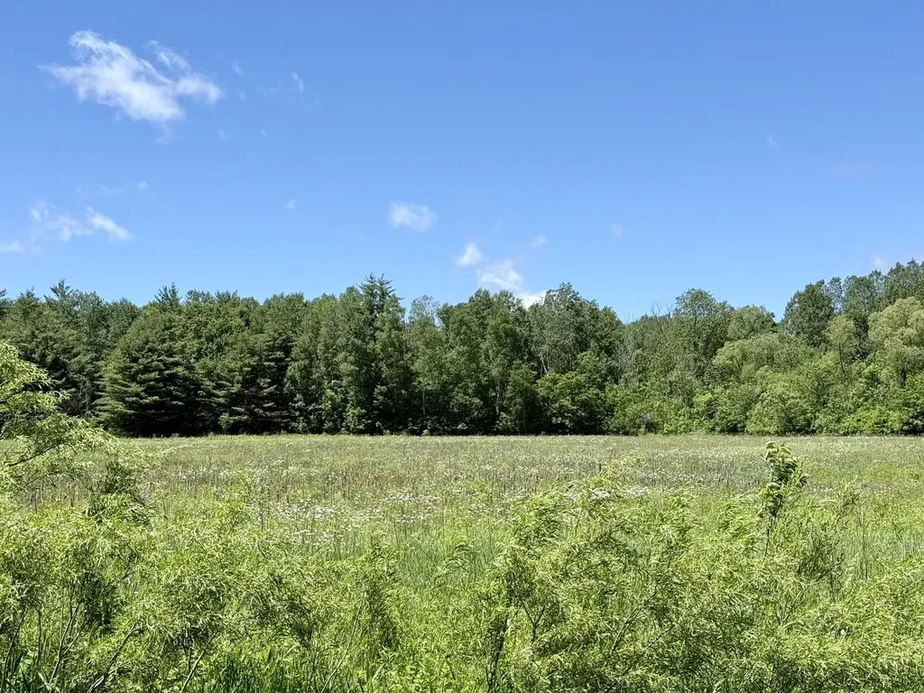 V/l 5th Avenue Middle Branch Township MI 49665