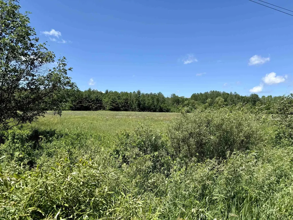 V/l 5th Avenue Middle Branch Township MI 49665