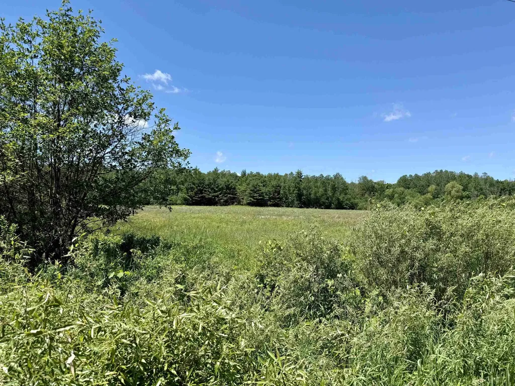 V/l 5th Avenue Middle Branch Township MI 49665