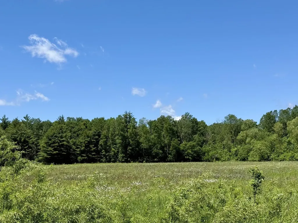 V/l 5th Avenue Middle Branch Township MI 49665