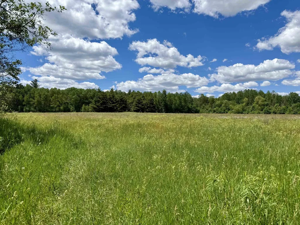 V/l 5th Avenue Middle Branch Township MI 49665