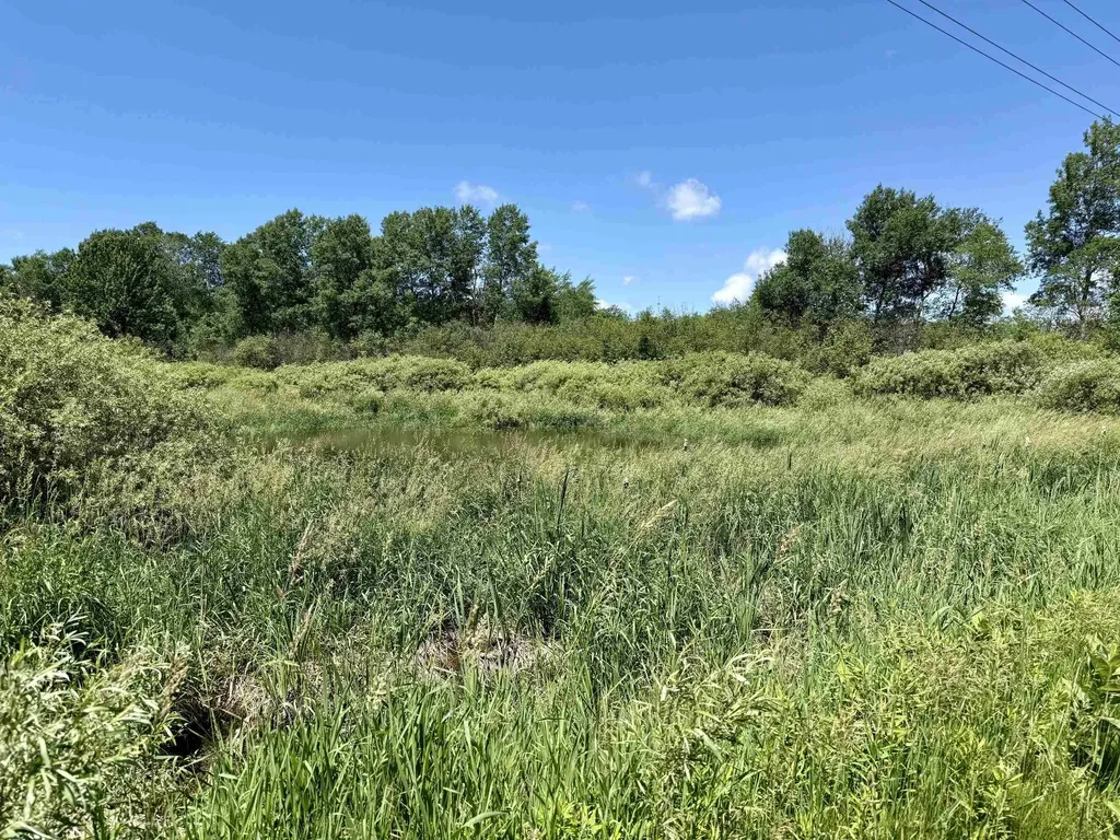V/l 5th Avenue Middle Branch Township MI 49665