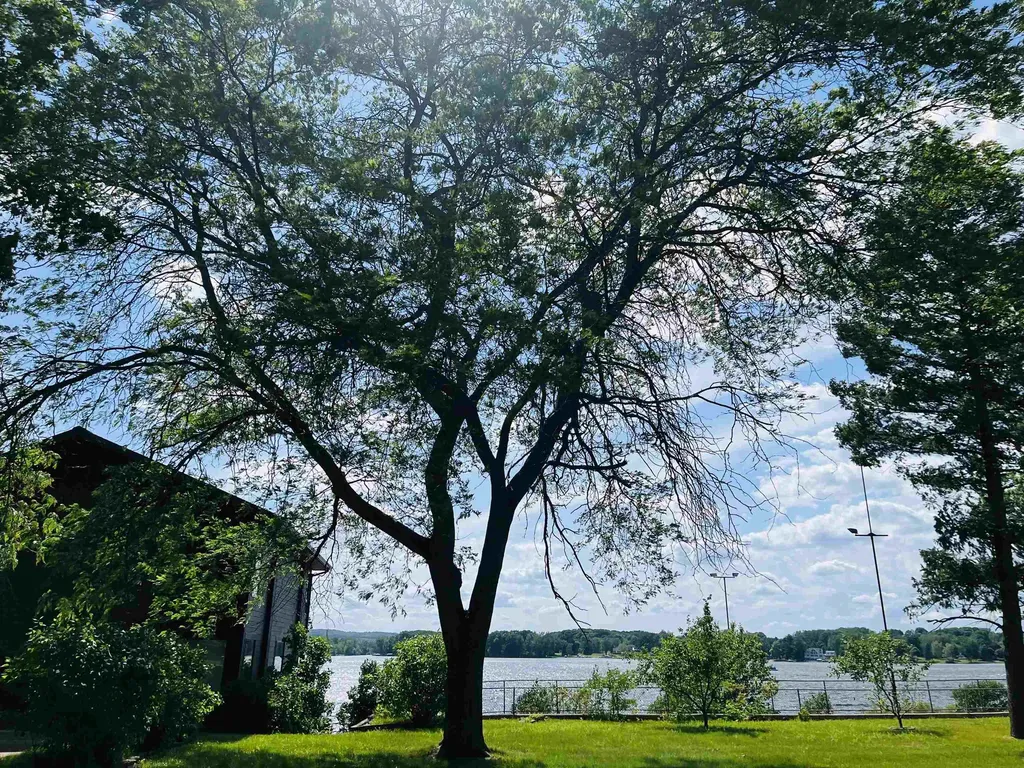 1084 Clubhouse Drive Broomfield Township MI 48893