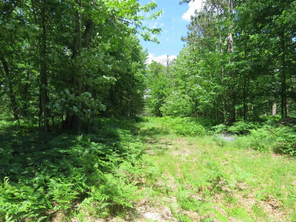 10420 W Rosted Road Lake Township MI 49651