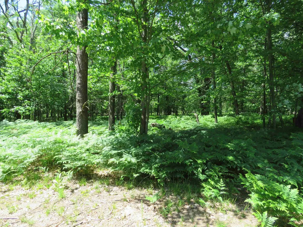 10420 W Rosted Road Lake Township MI 49651
