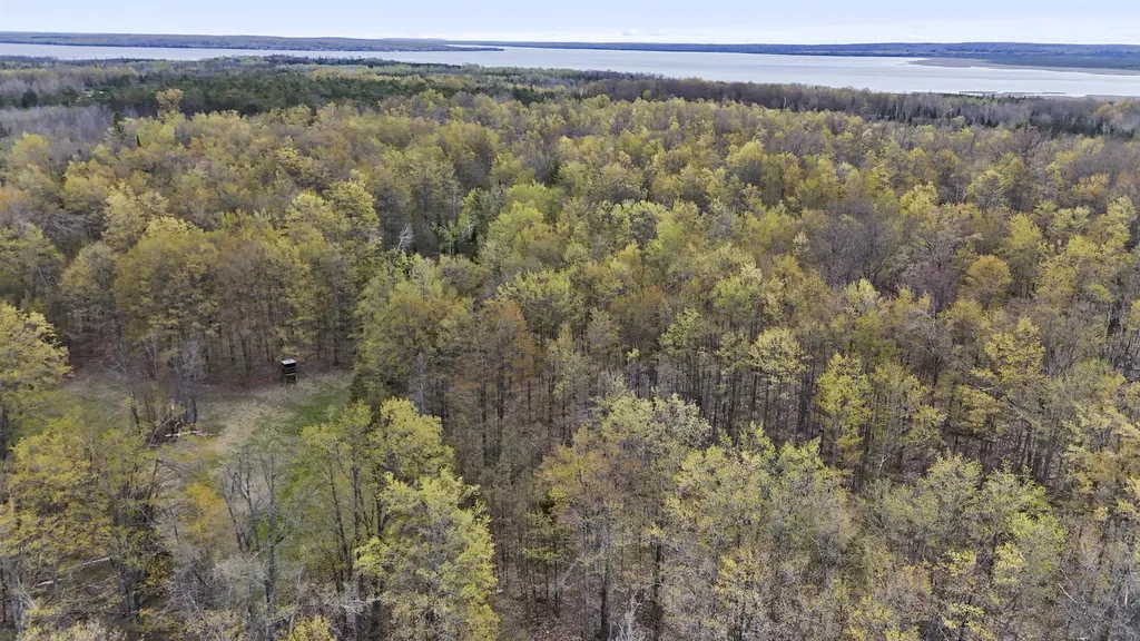 V/l Farrier Road Rust Township MI 49746
