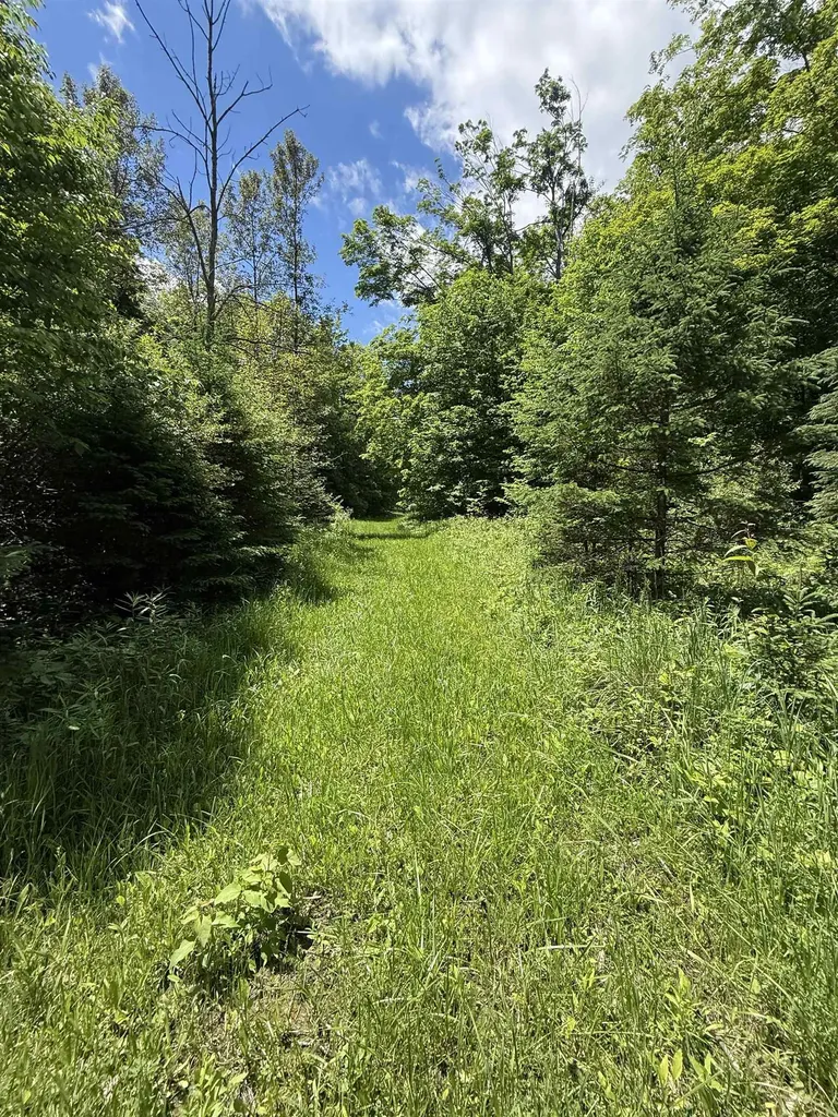 V/l Farrier Road Rust Township MI 49746