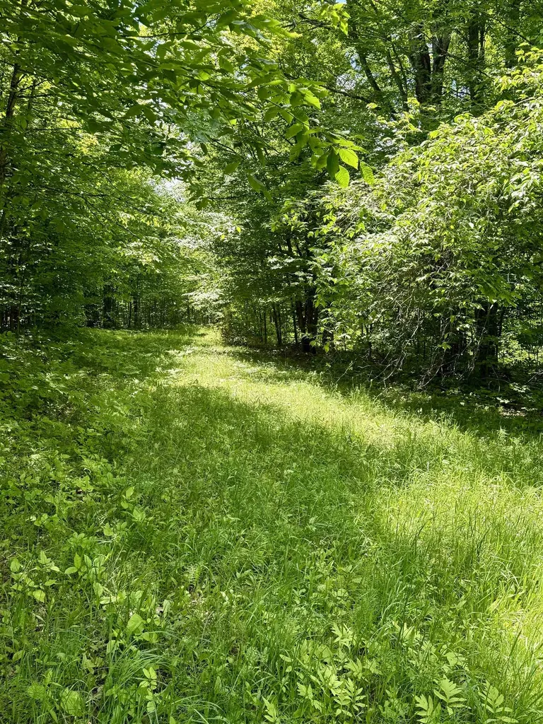 V/l Farrier Road Rust Township MI 49746