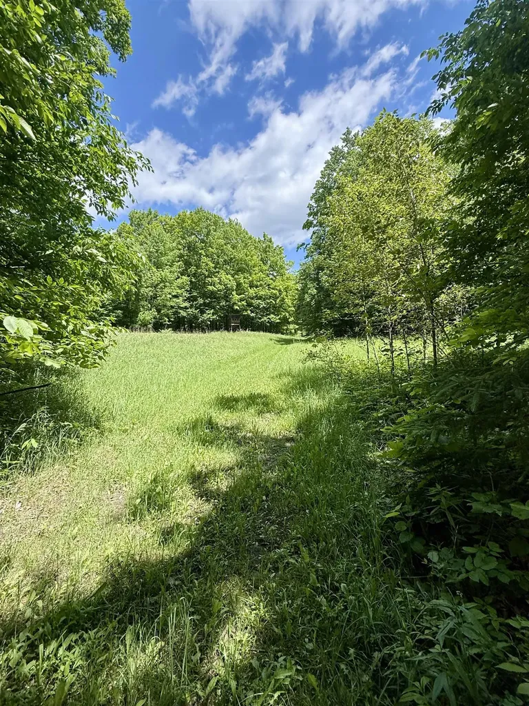 V/l Farrier Road Rust Township MI 49746