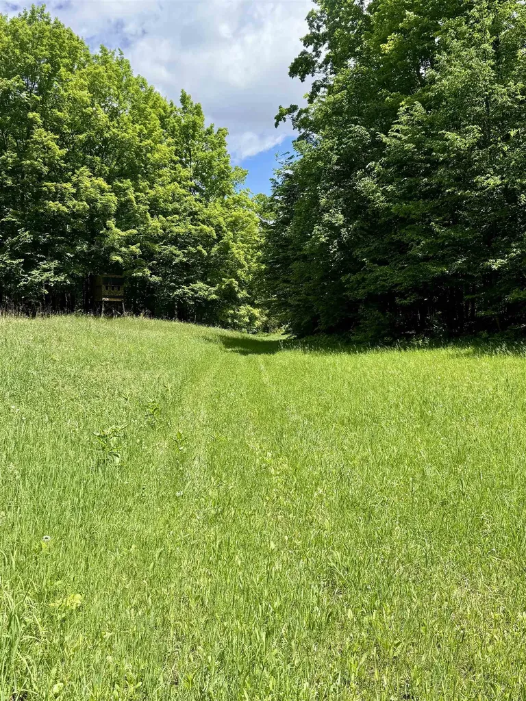 V/l Farrier Road Rust Township MI 49746