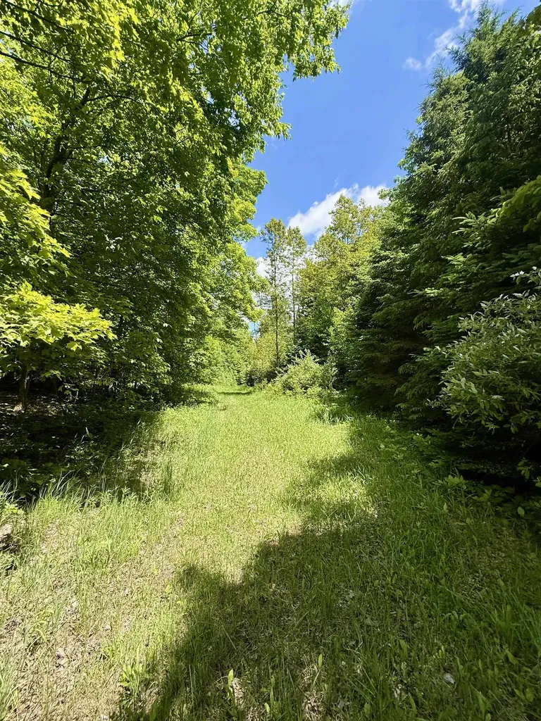 V/l Farrier Road Rust Township MI 49746