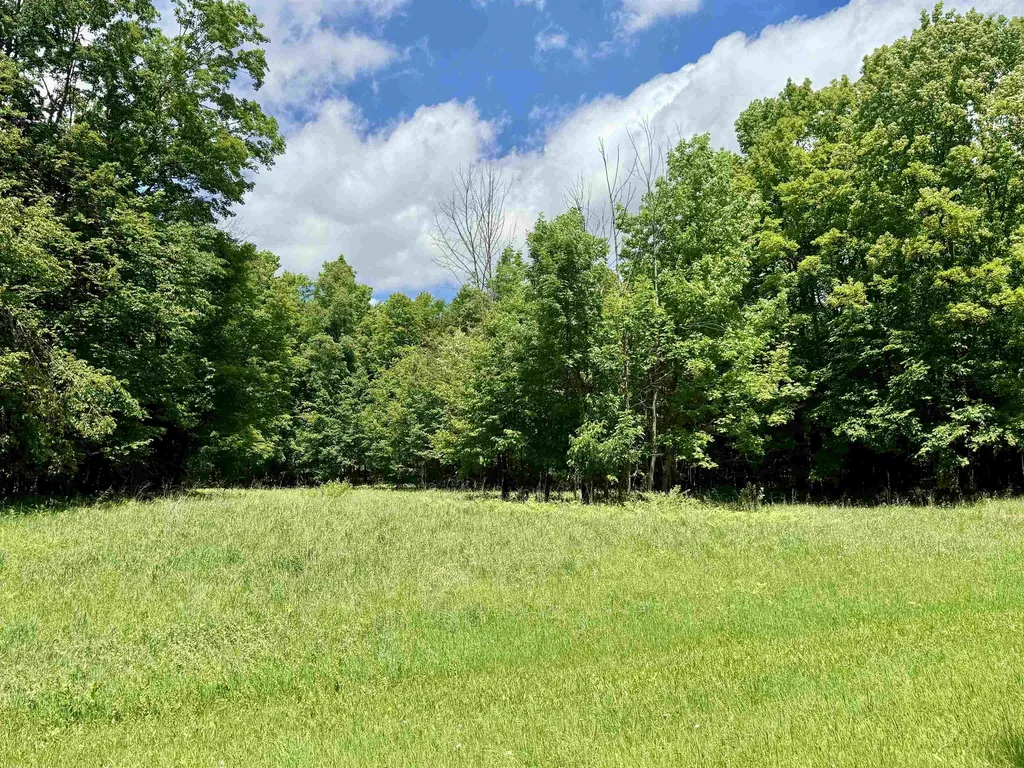 V/l Farrier Road Rust Township MI 49746