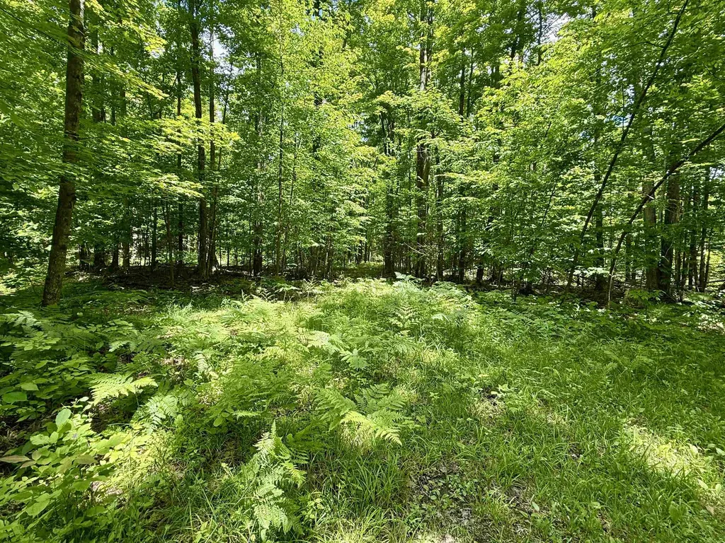 V/l Farrier Road Rust Township MI 49746