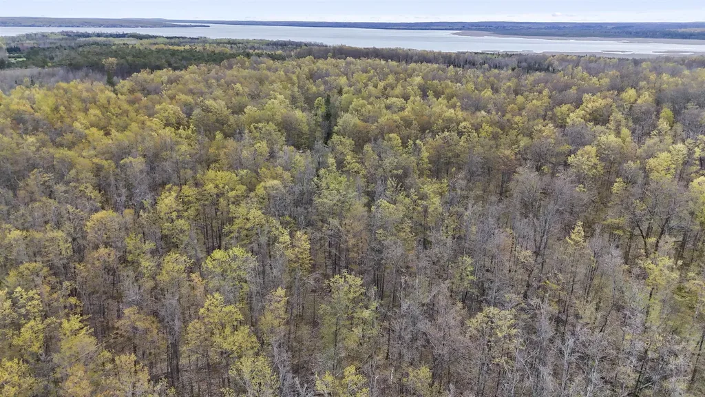 V/l Farrier Road Rust Township MI 49746