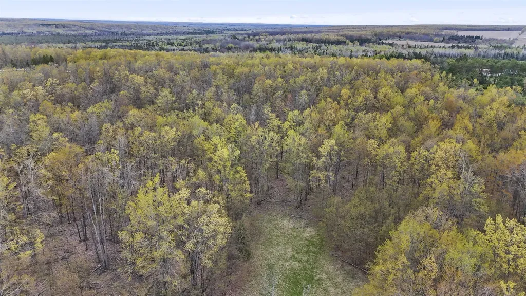 V/l Farrier Road Rust Township MI 49746