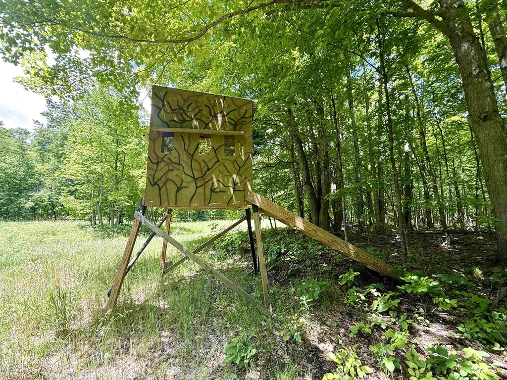 V/l Farrier Road Rust Township MI 49746