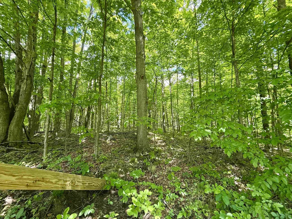 V/l Farrier Road Rust Township MI 49746