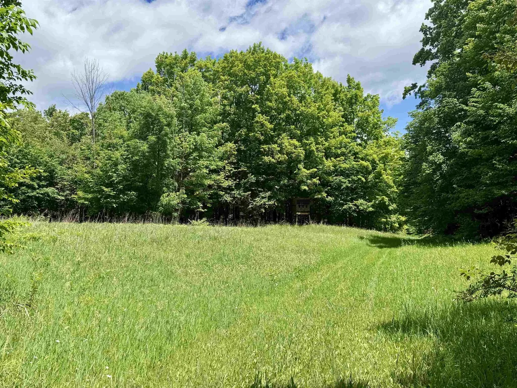 V/l Farrier Road Rust Township MI 49746