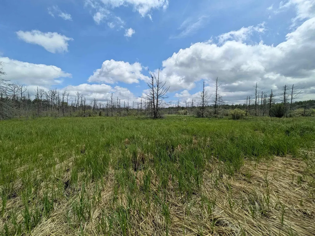 M-48 Pickford Township MI 49774