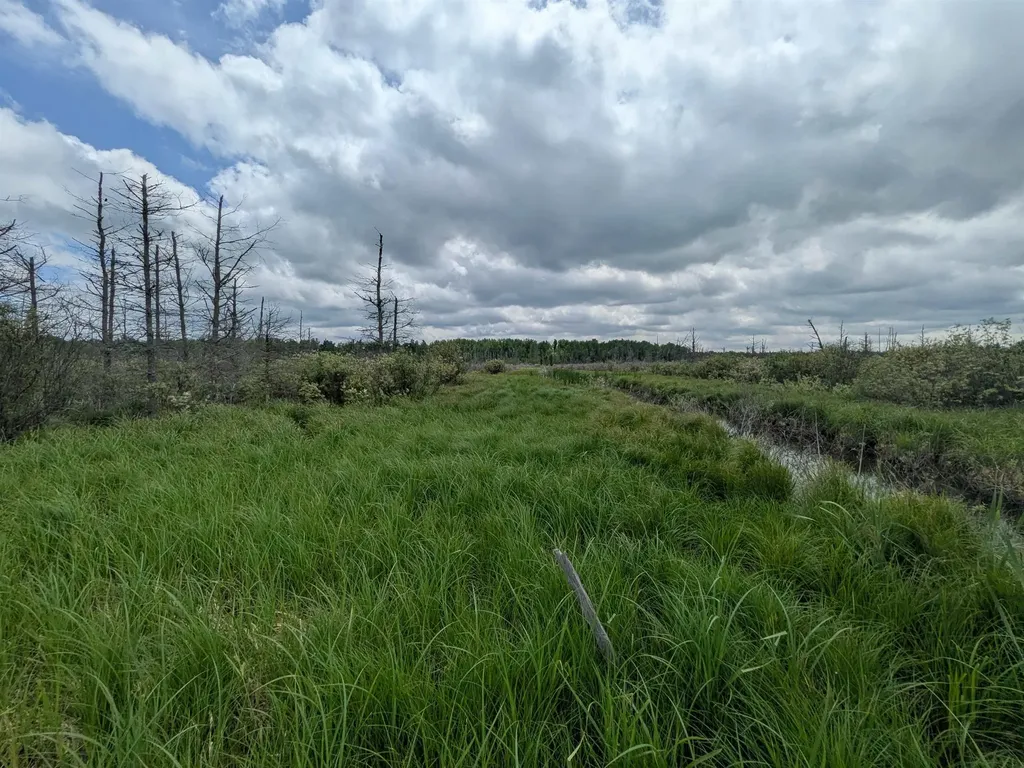 M-48 Pickford Township MI 49774