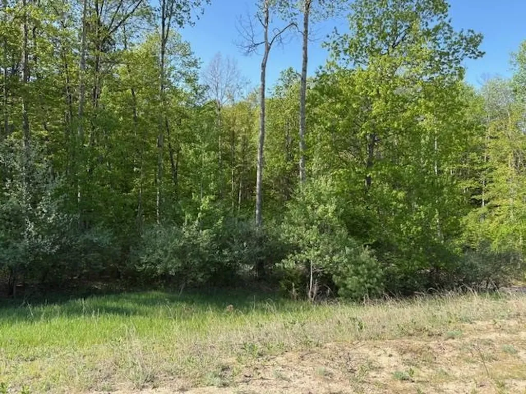 3062 Winchester Drive East Bay Township MI 49686